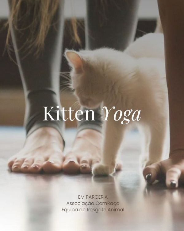 Workshop Kitten Yoga