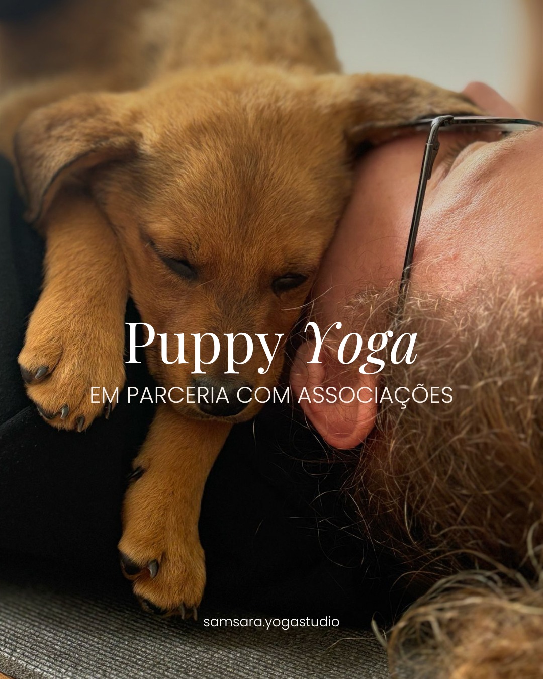 Yoga Puppy